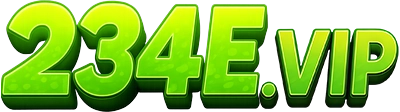 234E Logo